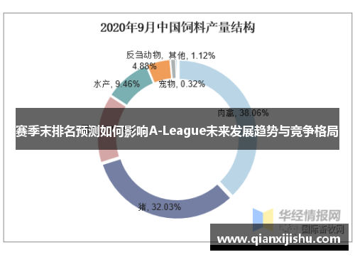 赛季末排名预测如何影响A-League未来发展趋势与竞争格局